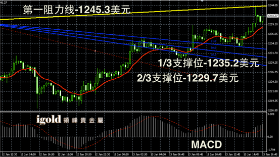 1月13日黄金走势图