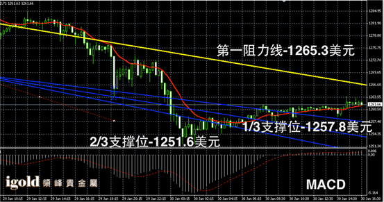 1月30日黄金走势图