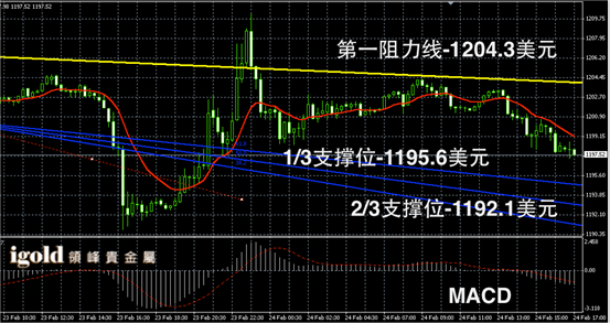 2月24日黄金走势图