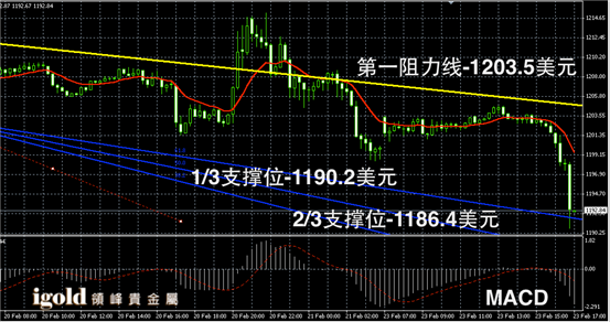 2月23日黄金走势图