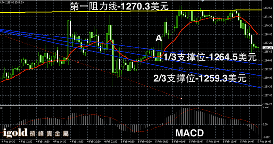 2月5日黄金走势图