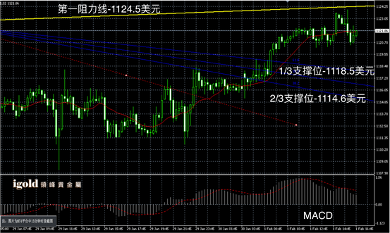 2月1日黄金走势图