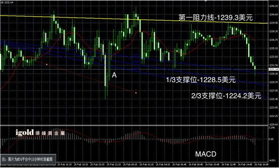 2月26日黄金走势图
